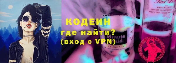 трава Корсаков