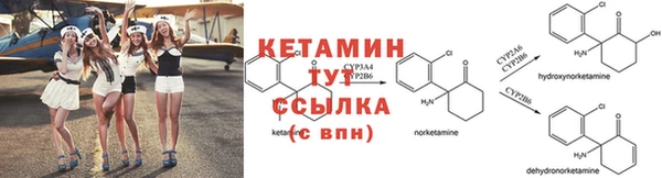 трава Корсаков
