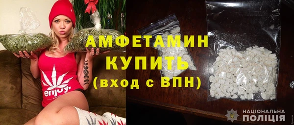 трава Корсаков