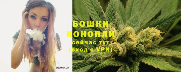 прущая мука Костерёво