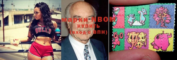трава Корсаков