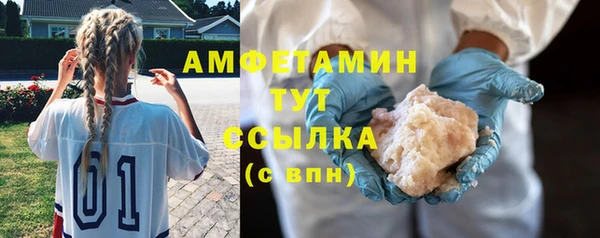 трава Корсаков