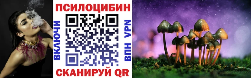 Псилоцибиновые грибы Cubensis Купить где Тогучин